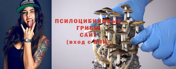 эйфоретик Богородицк