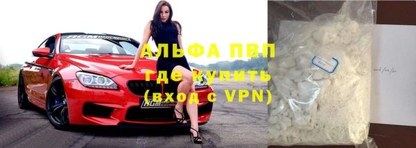 дмт Богданович