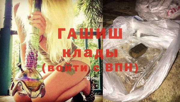 дмт Богданович