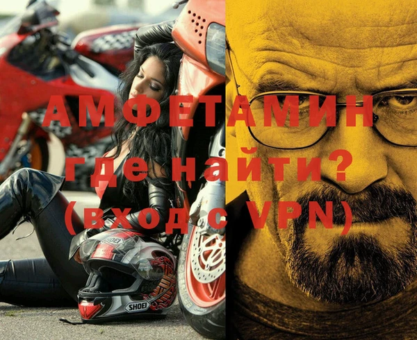 дмт Богданович