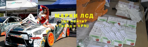 дмт Богданович