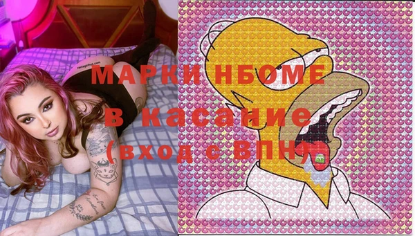 дмт Богданович