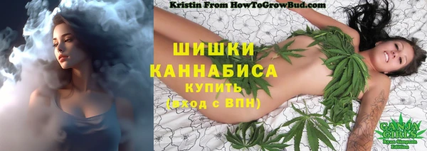 эйфоретик Богородицк
