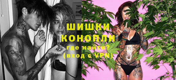 дмт Богданович