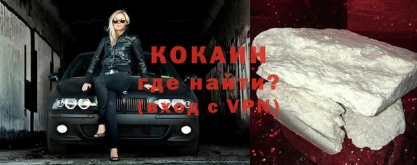 дмт Богданович