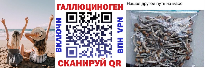 это состав  Дагестанские Огни  Галлюциногенные грибы Magic Shrooms  как найти наркотики 