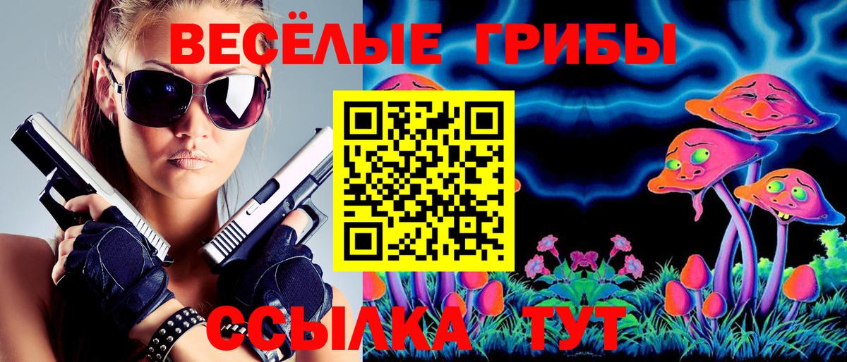 Дагестанские Огни  Галлюциногенные грибы Cubensis  Вход с VPN 