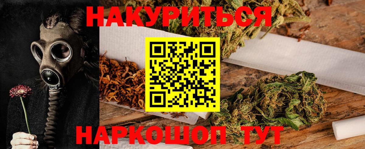 Канабис конопля Дагестанские Огни